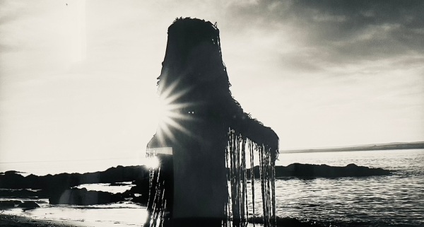 A black and white image of a humanoid creature, a woman possibly, standing looking out into the river or sea. Braids drip from her. She is a silhouette against the setting sun. The sunlight makes the shape of a star, with distinct rays.